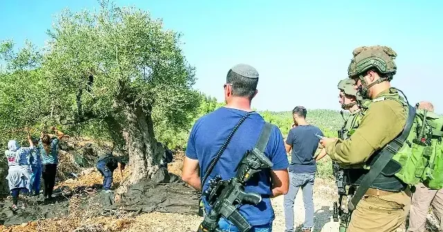 Zeytin ağaçları için özel ordu! Ortadoğu Haberleri