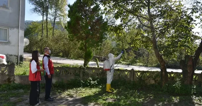 Ordu da kahverengi kokarcayla mücadelede 20 bin tuzak, 4 bin litre ilaç dağıtıldı