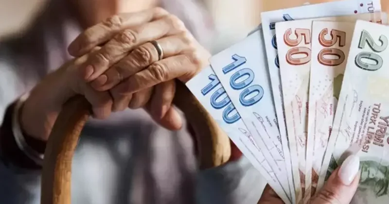 Yapanın emekliliği anında İPTAL EDİLİYOR! Maaşların tamamı geri alınıyor