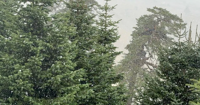 Bolu nun yüksek kesimlerine kar yağdı Bolu Haberleri