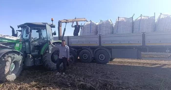 Patnos ta patates hasadı başladı
