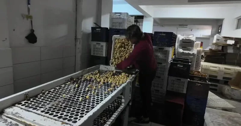 İşçi Geçinemiyoruz diyor ihracatçı vade istiyor