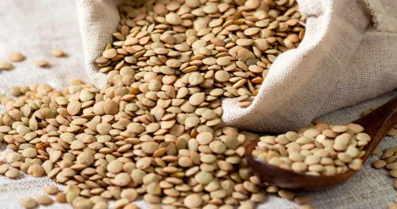 Protein, lif ve daha fazlası: Baklagillerin altın değeri