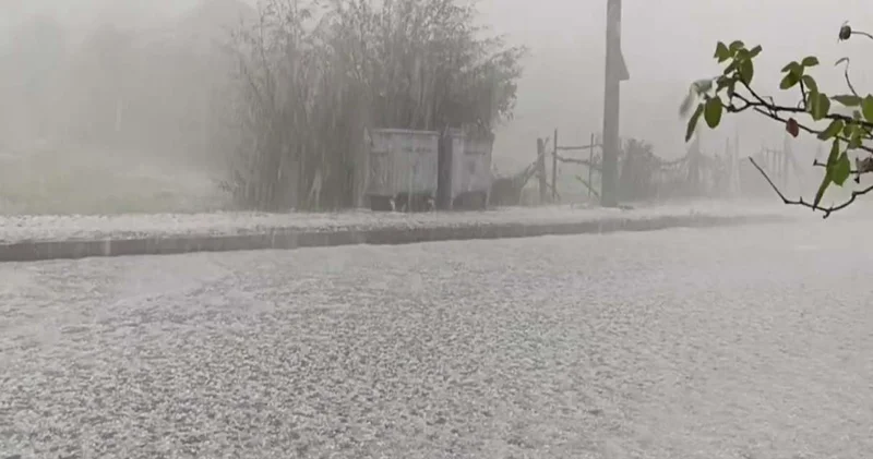 Fındık büyüklüğünde yağdı! Zonguldak beyaza büründü