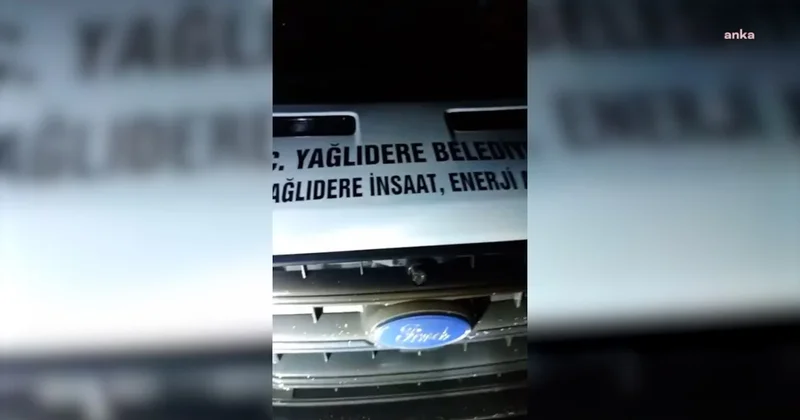 MHP li belediye sokak hayvanlarını gece yarısı sokağa bıraktı Sözcü Gazetesi
