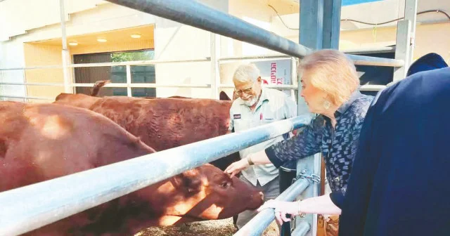 ABD elçisinden kırmızı ineklere ziyaret Dünya Haberleri