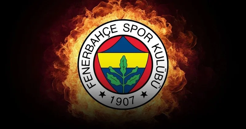Fenerbahçe ye transfer oldu milli takımdan çıkarıldı