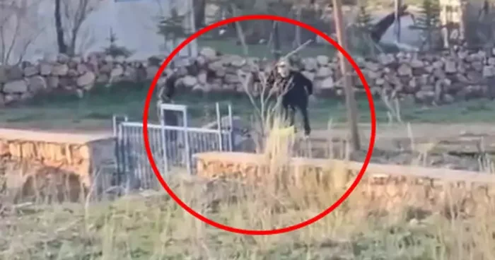 Eşeğe sopalı eziyet kamerada