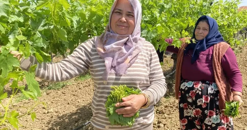 Kilosunu 70 TL ye satıyorlar hiç masrafı yok