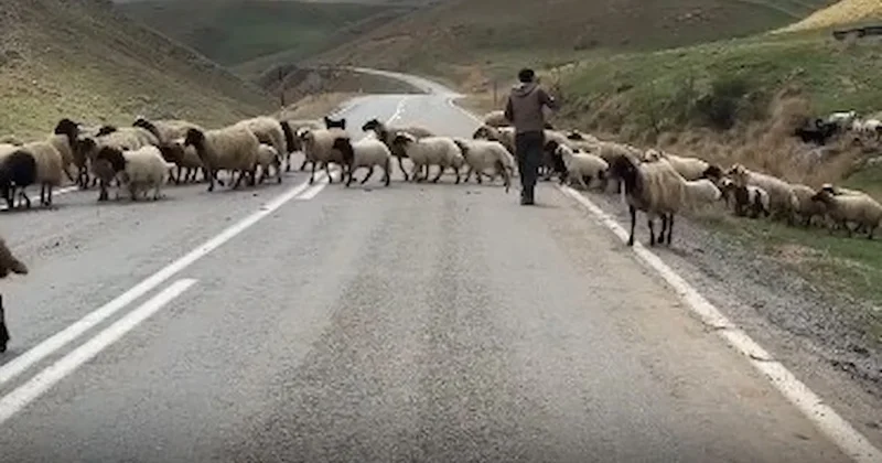 Vanlı besici: Kurban Bayramı olsa ne olmasa adam alamıyor ki Sözcü Gazetesi