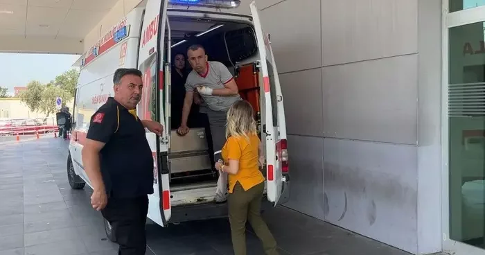 Aydın’ın acemi kasap bilançosu belli oldu