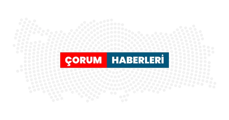 Çorum da anne kedinin ağzında getirdiği yavrusu veterinerde tedavi edildi Çorum Haberleri