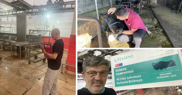 Hasene Vakfı nın konserve kurbanları Gazze ye Diğer Haberleri