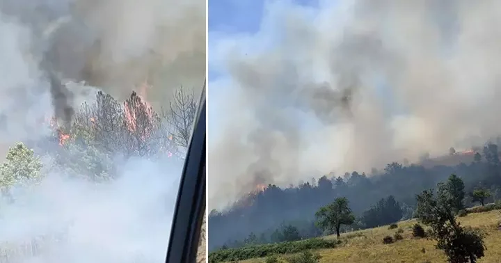 Son dakika... Üç ilde orman yangını! Vali duyurdu: Manisa dan Uşak a sıçrayan yangın söndürüldü