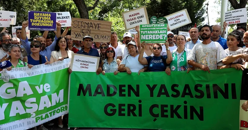 Zeytinlikler 10 günlüğüne kurtuldu Sözcü Gazetesi