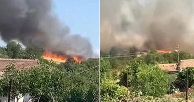 Edirne de 30 dönümlük buğday tarlası alev alev yandı Edirne Haberleri