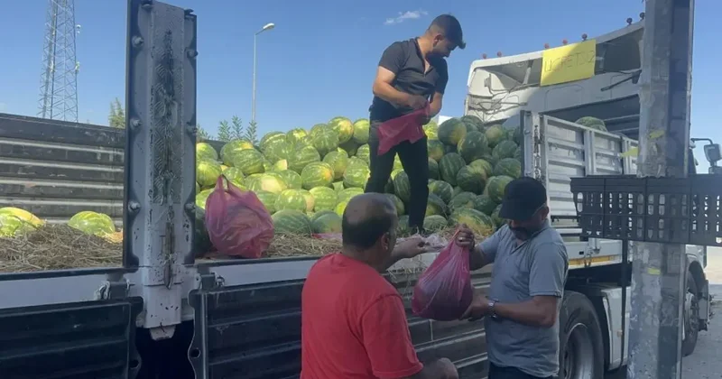 Esnaf 30 ton karpuzu ücretsiz dağıttı