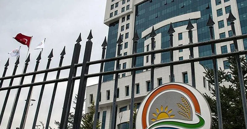 Tarım ve Orman Bakanlığından hayvan pazarları ve yapay et iddialarına yanıt