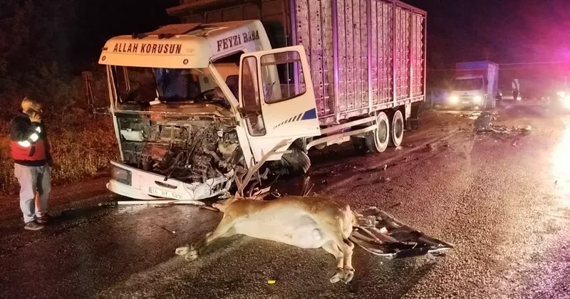 Yola çıkan geyik dehşeti yaşattı: 1 ölü, 1 yaralı!