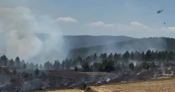 Kastamonu da anız yangını ormana sıçradı; 10 hektar alan zarar gördü