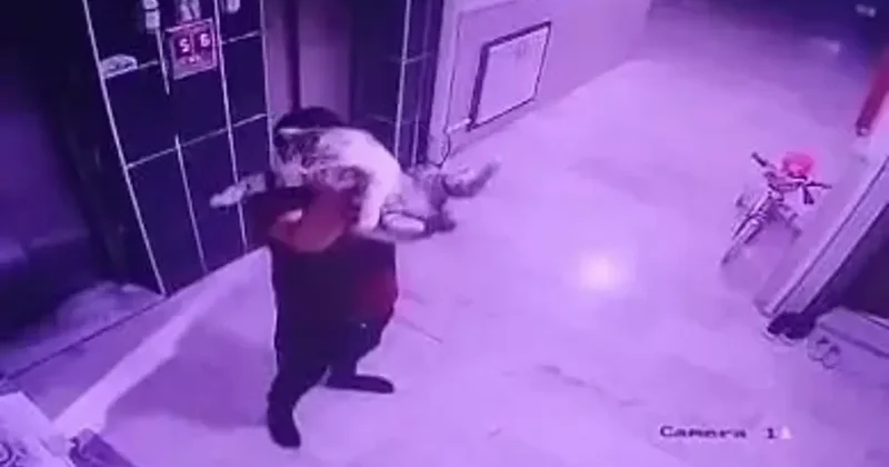 Konya’da hamile kediyi yere fırlatan kişi gözaltına alındı