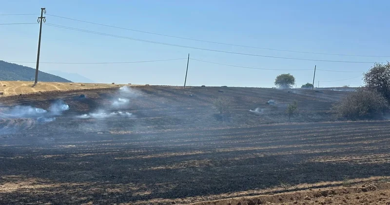 Isparta da ekin tarlasında yangın Sözcü Gazetesi