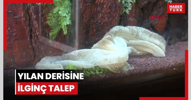 Yılan derisine ilginç talep