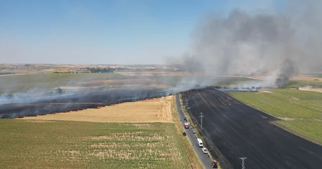Tekirdağ da tarım alanında başlayan yangın söndürüldü Tekirdağ Haberleri