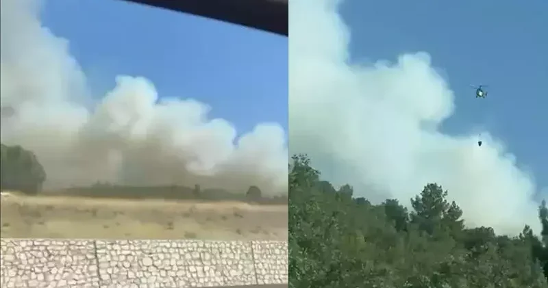 Kütahya’da orman yangını