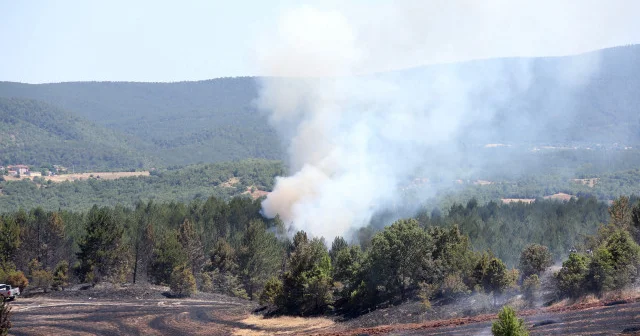 Kastamonu da tarım arazisinde başlayan yangın ormana sıçradı Gündem Haberleri