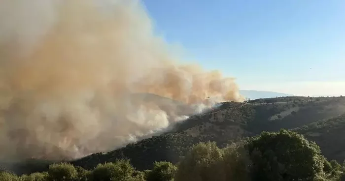Orman yangınları devam ediyor! Manisa daki yangın Uşak a doğru ilerliyor