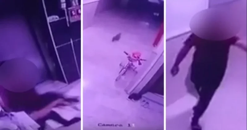 Bu nasıl insan! Hamile kediyi kameralara gösterip yere böyle vurdu Sözcü Gazetesi