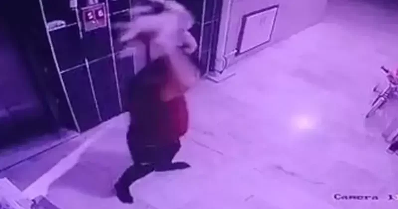 Kediyi yere fırlatan şüpheliye gözaltı
