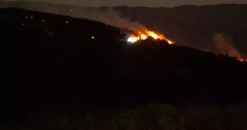 Manisa Sarıgöl’de çıkan yangın Uşak’a ulaştı; bazı evler tahliye edildi