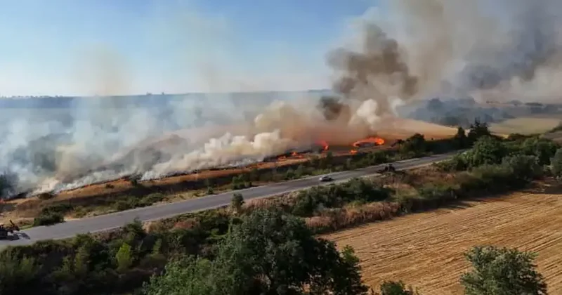 Dev alevler, uluslararası yolu trafiğe kapattı
