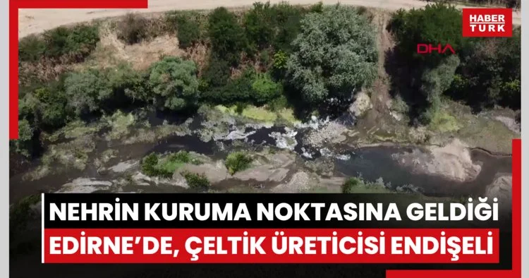 Tunca Nehri nin kuruma noktasına geldiği Edirne’de, çeltik üreticisi endişeli