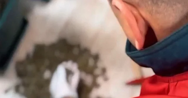 Tekirdağ da zehir tacirlerine darbe: 65 gözaltı 35 tutuklama VİDEO İZLE