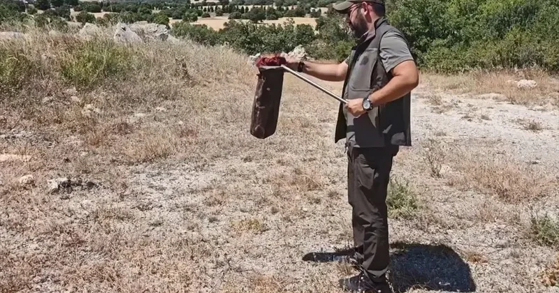 Restoran Tuvaletinde Yılan bulundu