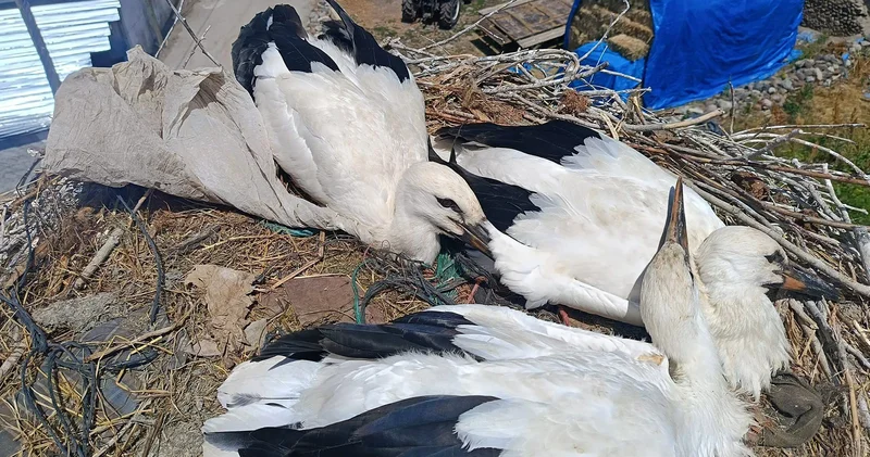 İtfaiyeden leyleğe uzanan şefkat eli