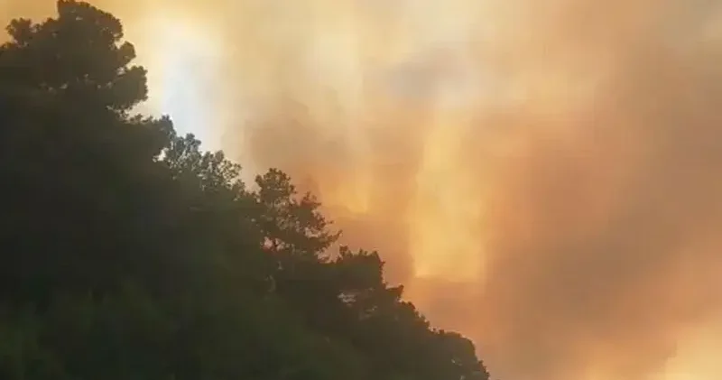Çanakkale’de orman yangını; Kaz dağlarındaki köy yolları ulaşıma kapatıldı
