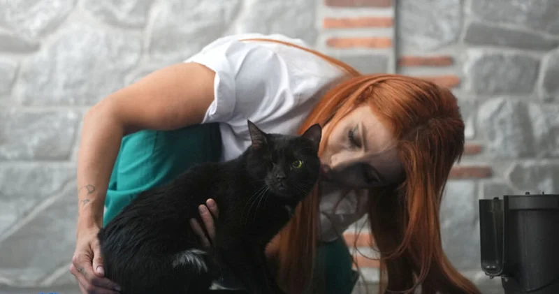Engelleri aşan kedi Zeytin mücadeleyi bırakmıyor