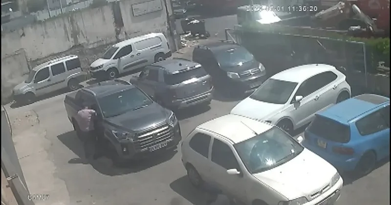 Perulu hırsızlık çetesi yakalandı