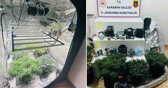 Kenevir yetiştirmek için kamp çadırını gizli sera yapmışlar Karaman Haberleri