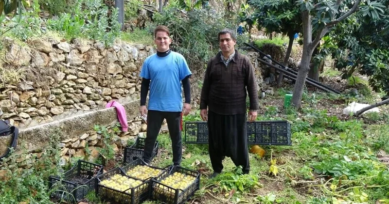 Kilosu 150 TL’ye Kadar Çıkıyor! Alanya nın Meşhur Meyvesi Tezgahlarda