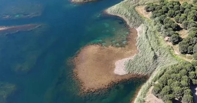 İBB Arnavutköy’de doğal gölü hafriyat döküm alanı ilan etti VİDEO İZLE