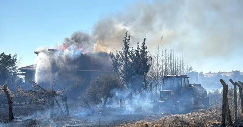 Kırklareli de tarlada başlayan anız yangını ormana sıçradı