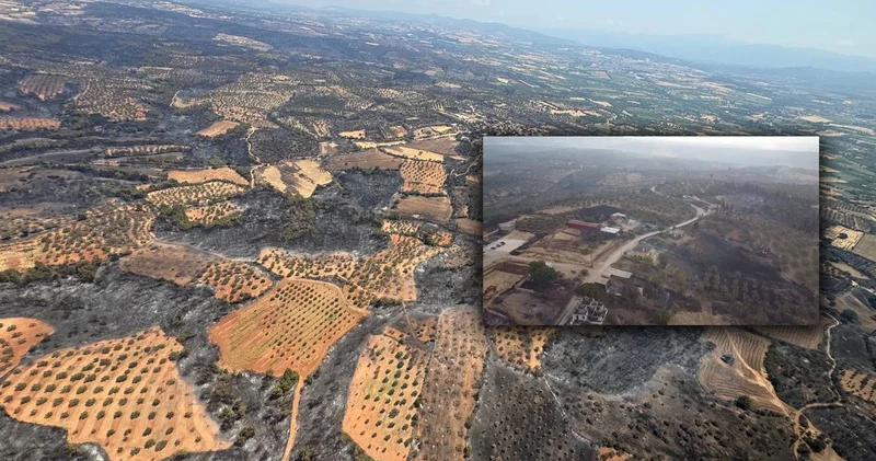 Çanakkale de kahreden manzara: Küle döndü