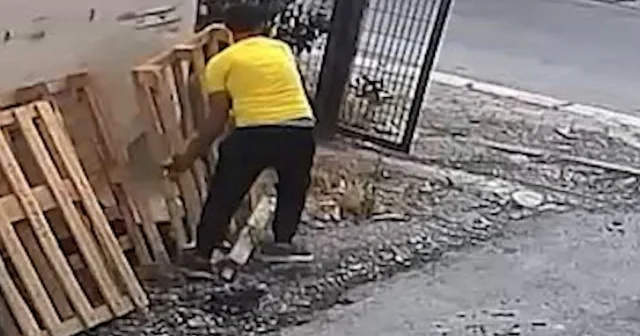 Avcılar da el arabalı palet hırsızı kamerada VİDEO İZLE