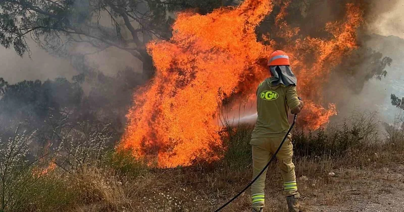 Aydın’da ormanlar için kırmızı alarm!