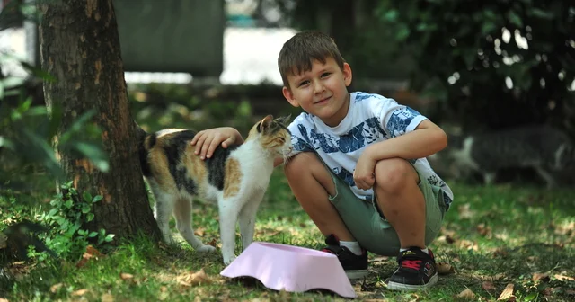 6 yaşındaki Dorukhan, her gün takipçisi kadar sokak hayvanı besliyor Bursa Haberleri